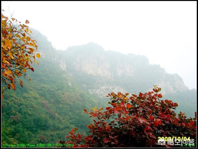 邯郸的西部山区，哪些农村的自然环境比