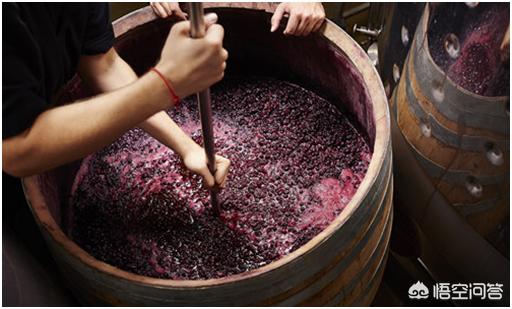 山葡萄酒制作方法图片，在家里怎样用山葡萄自酿葡萄酒？