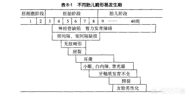 怀孕几个月能看出来畸形:胎儿几个月可以检查出畸形 怀孕多久后容易出现胎儿畸形？孕妈该如何预防？