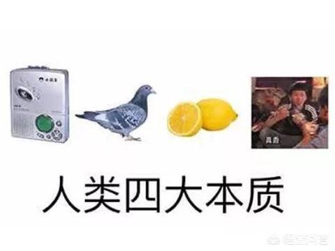 刘万鑫:哪些游戏主播，曾经声称绝不跳槽，最后纷纷背叛平台被索赔？
