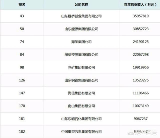 山东省的龙头企业（山东省十大企业）