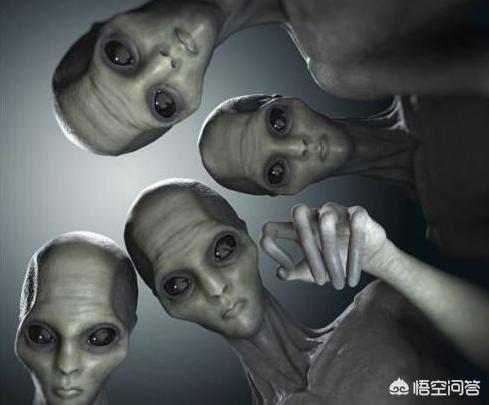 美国13区外星人图片