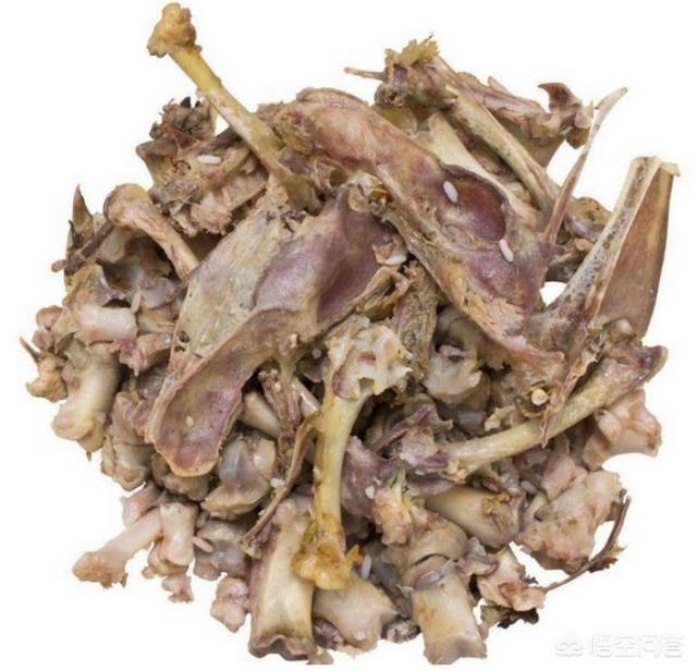 博美犬的寿命是多大:蝴蝶犬VS博美犬之间，谁更胜一筹？