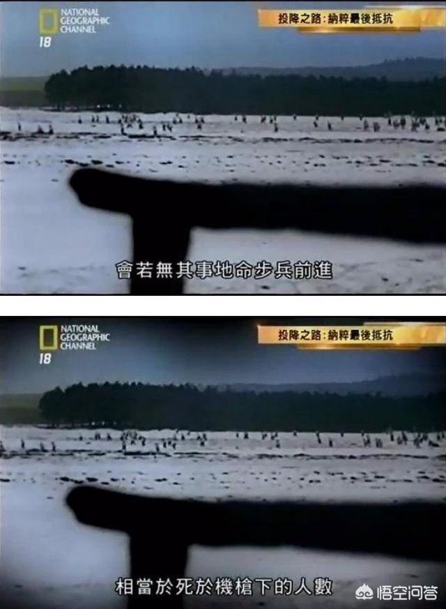 介助犬的遗言高清:二战苏军是否真的使用了“地雷犬”这种武器？可有战例？
