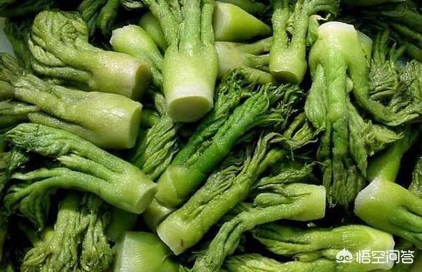 壮阳野菜，哪些野菜可以人工种植种植的野菜每亩效益如何