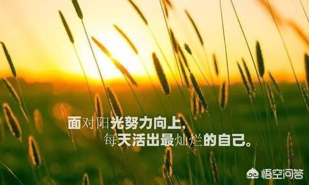 适合发<a href=https://maguai.com/list/256-0-0.html target=_blank class=infotextkey>朋友圈</a>的励志短句:有哪些既励志又温暖的<a href=https://maguai.com/list/256-0-0.html target=_blank class=infotextkey>朋友圈</a>励志<a href=https://maguai.com/list/46-0-0.html target=_blank class=infotextkey>语录</a>？(励志<a href=https://maguai.com/list/256-0-0.html target=_blank class=infotextkey>朋友圈</a><a href=https://maguai.com/list/46-0-0.html target=_blank class=infotextkey>语录</a>)