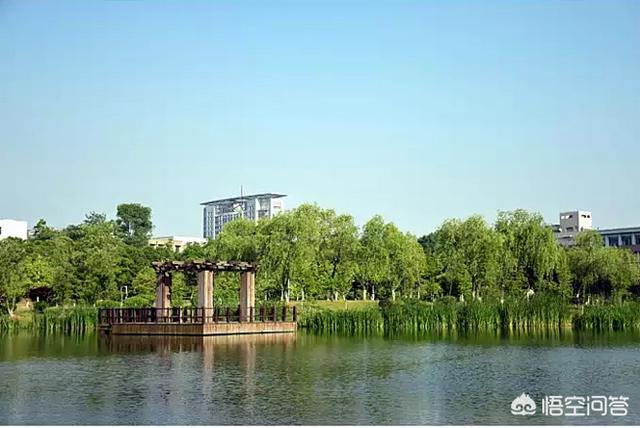 为什么江苏大学排名41却不是211？