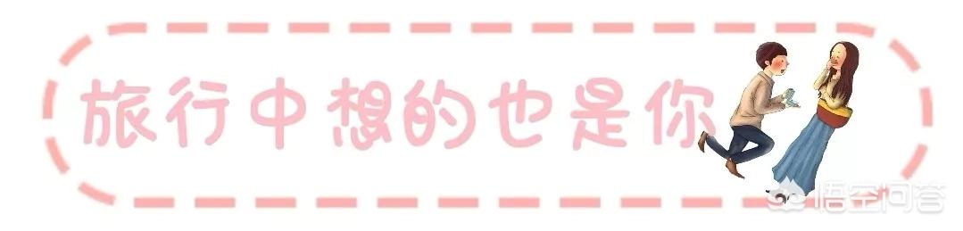 郭晓冬妻子:《妻子的浪漫旅行》为什么这么火？
