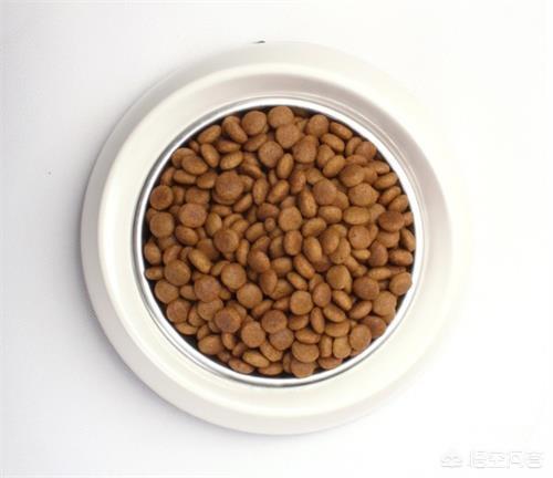 狗狗眼屎多臭:泰迪狗狗拉稀发黑很臭?泰迪拉稀怎么办？泰迪拉稀还臭颜色发黑？