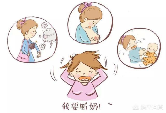 宝宝什么时候断奶最好:宝宝断奶时间很重要，宝妈们断对了吗？