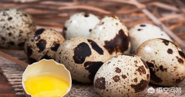 小孩吃鹌鹑蛋会早熟吗，宝宝可以每天吃鹌鹑蛋吗？
