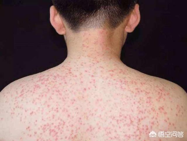 一颗自命清高的小草