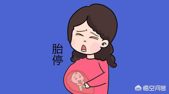 孕中期死胎有什么症状:孕中期死胎是什么原因造成的 四个月胎停，孕妇有什么症状？