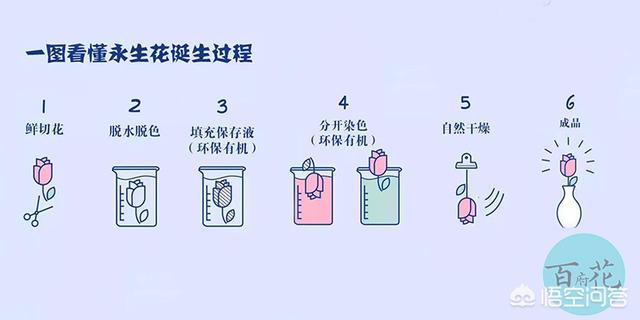 如何自制永生花 头条问答