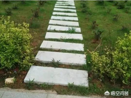 博来恩和海乐妙能同时使用吗:家里猫下小猫家里很多跳蚤，杀了又有，杀了又有，咋办？