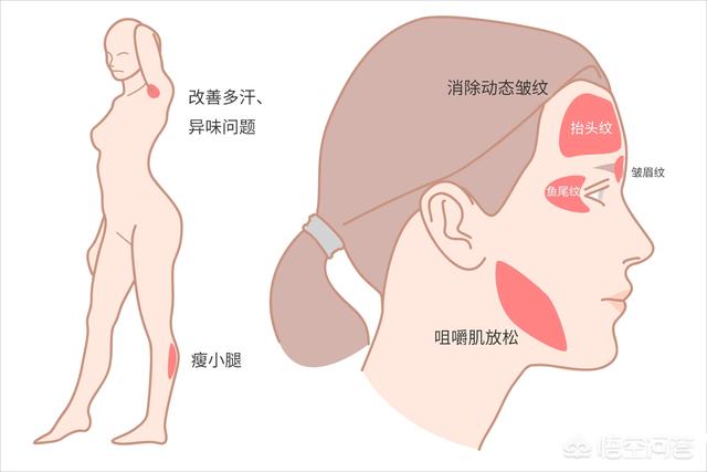 刘涛打瘦脸针面部凹陷，打瘦脸是否会在未来出现副作用