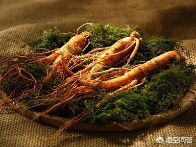 太子参的功效(太子参的功效与作用与主治)