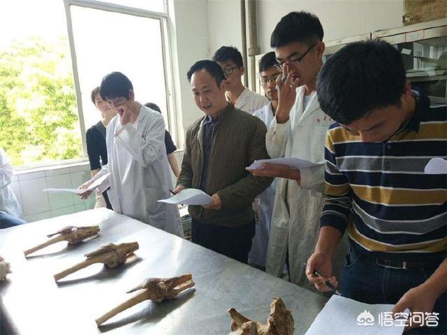 中国闹鬼最凶的大学 医院，请问那些医学院，做实验解剖尸体时候，那些尸体是哪里来的