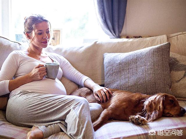 孕妇脚抽筋是什么原因:孕妇脚抽筋是什么原因如何处理 孕早期吃什么吐什么，人还头晕，有时候脚抽筋是怎么回事？