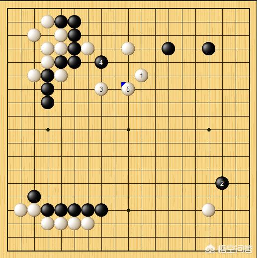 宠物狗训练软件:阿法狗哪些围棋下法是人类无法理解但实际很厉害的？