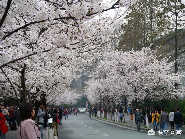 南京鼓楼区怎么拍视频;南京有哪些特别值得一去的地方，适合拍照的？