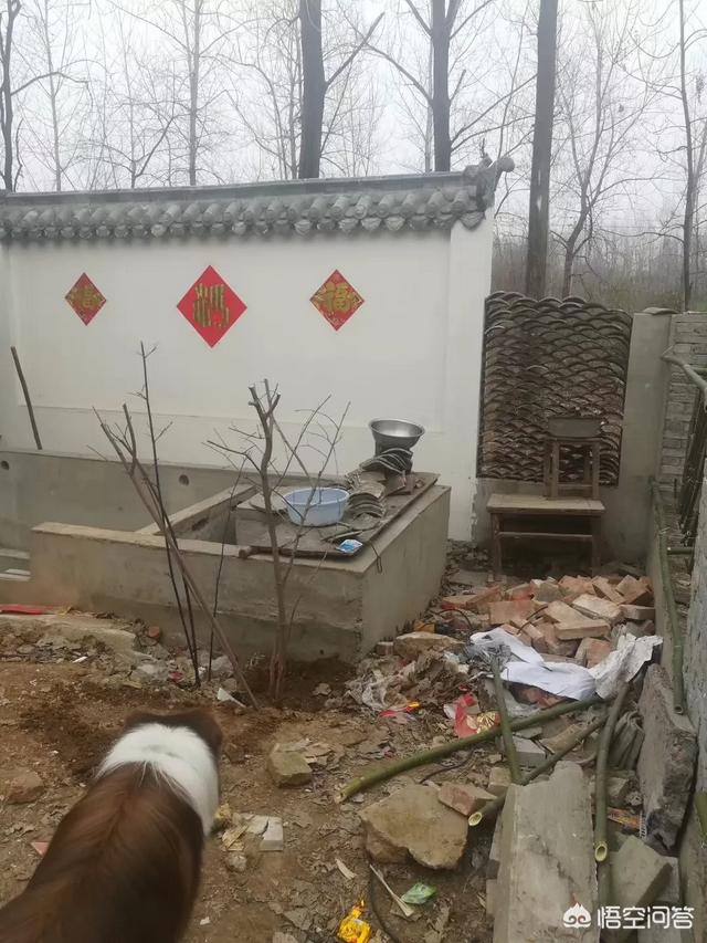 怎么做院子围墙又便宜又好看？插图113