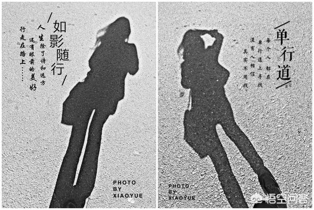 爱拍宠物摄影:爱好摄影的你，感觉自己是什么水平？晒出三张照片来分享一下吧？