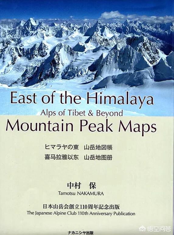 高山金翅雀图片:鸟最高能飞多少米？哪种鸟类飞的最高？