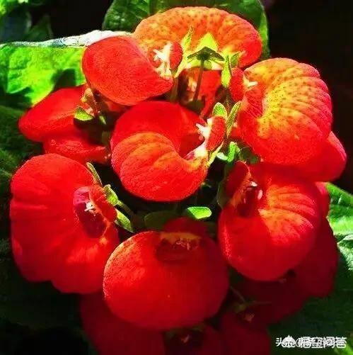 你理解的现实是什么？为什么很多人觉得现实是贬义词？