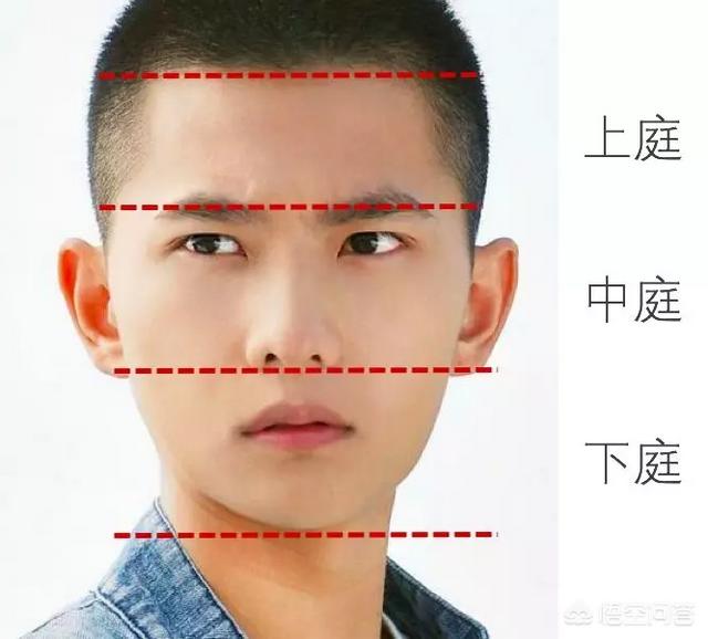 张瀚的眼睛:桃花坞张翰又开始暧昧了，该结婚的年纪他为什么不好好谈恋爱？