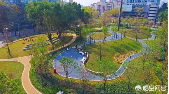 深圳宠物:深圳有哪些景点是可以带宠物游玩的？ 深圳宠物殡葬服务公司