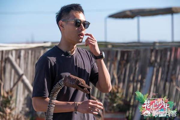 杨佑宁:你觉得杨祐宁在《都挺好》中饰演的石冬天怎么样？