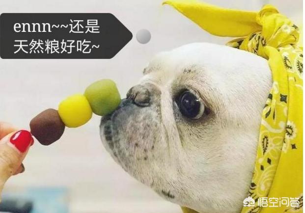 法国斗牛犬性格忧郁:一只法斗幼犬大概得多少钱？