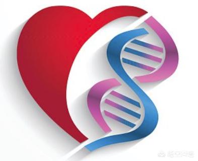 婚配属相重要还是生辰八字重要,根据基因组合来婚配是否可行？