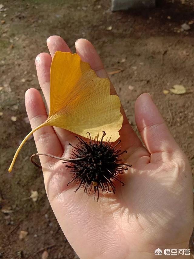 程序员如何在IT行业挣钱？