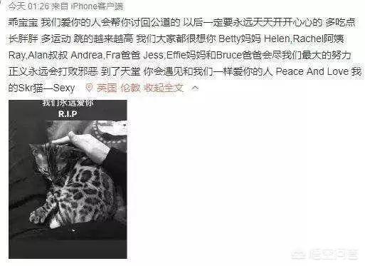 何兴丽摔狗案件:中国留学生虐猫被控告，你怎么看？
