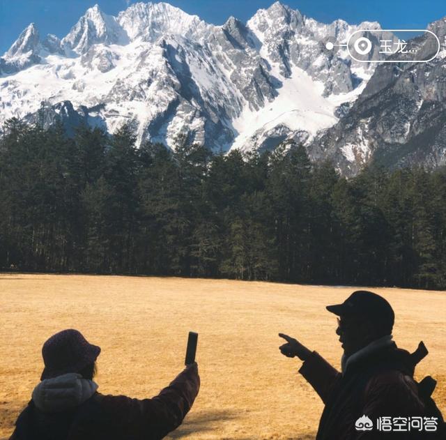 史宾格和伯恩山:史宾格犬，比格犬，差别？