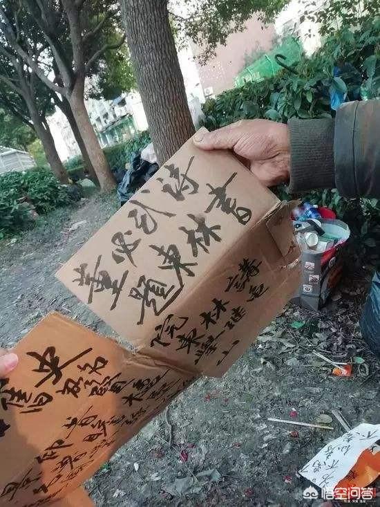 褴褛猫:流浪大师为何说我被别人当猴子玩了？ 褴褛猫怎么认