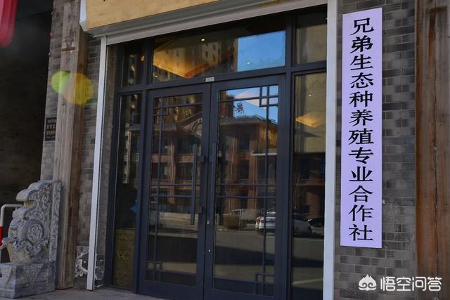 水草种类图谱名称大全:小龙虾会吃麦黄草吗，这种草什么时候种？怎么种？