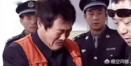 范伟的电视剧:小时候看是一种感受，长大后看感受完全不一样的电视剧有哪部