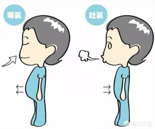 腹式呼吸是用肚子呼吸吗？