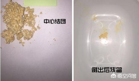亲宝舒猫砂好用吗:猫咪乱吃东西拉稀了，要去医院吗？ 亲宝舒猫砂盆好用吗