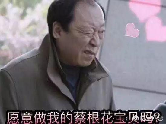 唐志中老婆小咪:怎么看待《都挺好》里面的大嫂