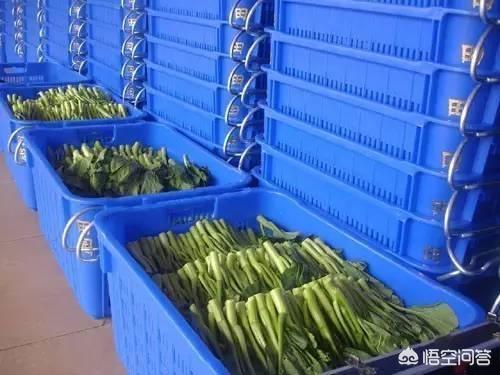 汤梦佳:如何评价电影《老师·好》？