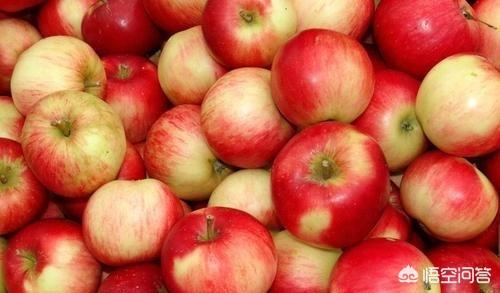 饭前饭后:苹果在饭前吃更好还是饭后吃更好？能帮助减肥吗？