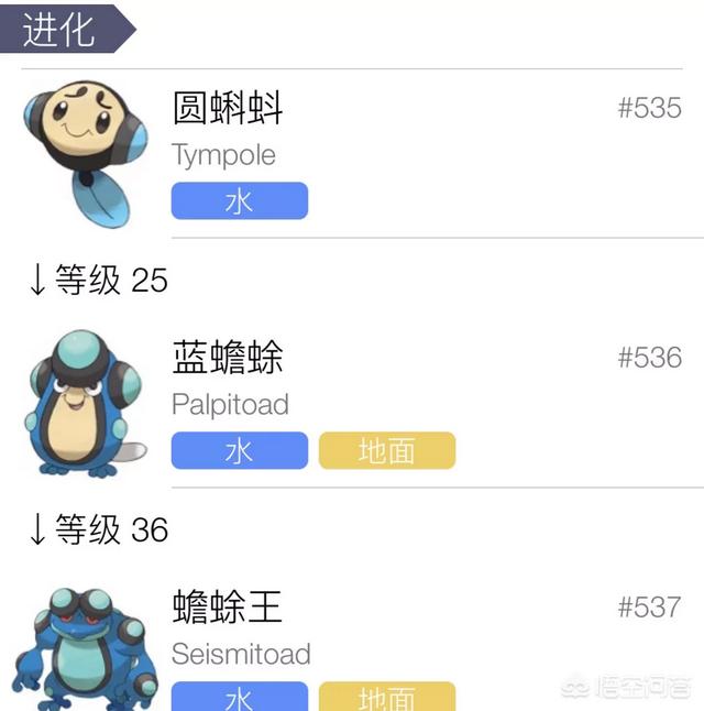 小狗被染成皮卡丘好可爱:《精灵宝可梦》里有没有进化后反而变丑的宝可梦？