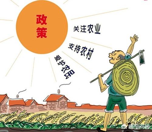 未来农民的出路将在哪里，中国经济转型，有些人发现钱越来越难赚了，未来农村的出路在哪里