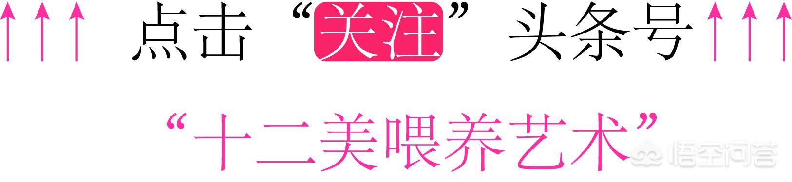 什么食物可以化痰(什么食物可以化痰止咳)
