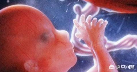 38周胎儿发育情况是啥样的，怀孕马上38周了，有什么需要特别注意的呢