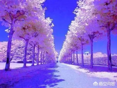 职场中，“空健康”的管理者如何更好更快的工作？
(图3)